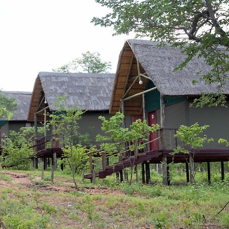 Lion Roars Lodge Lesoma Kültér fotó