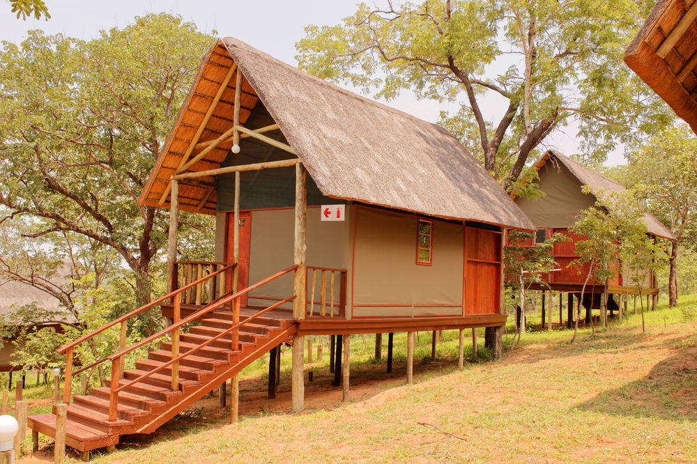 Lion Roars Lodge Lesoma Kültér fotó
