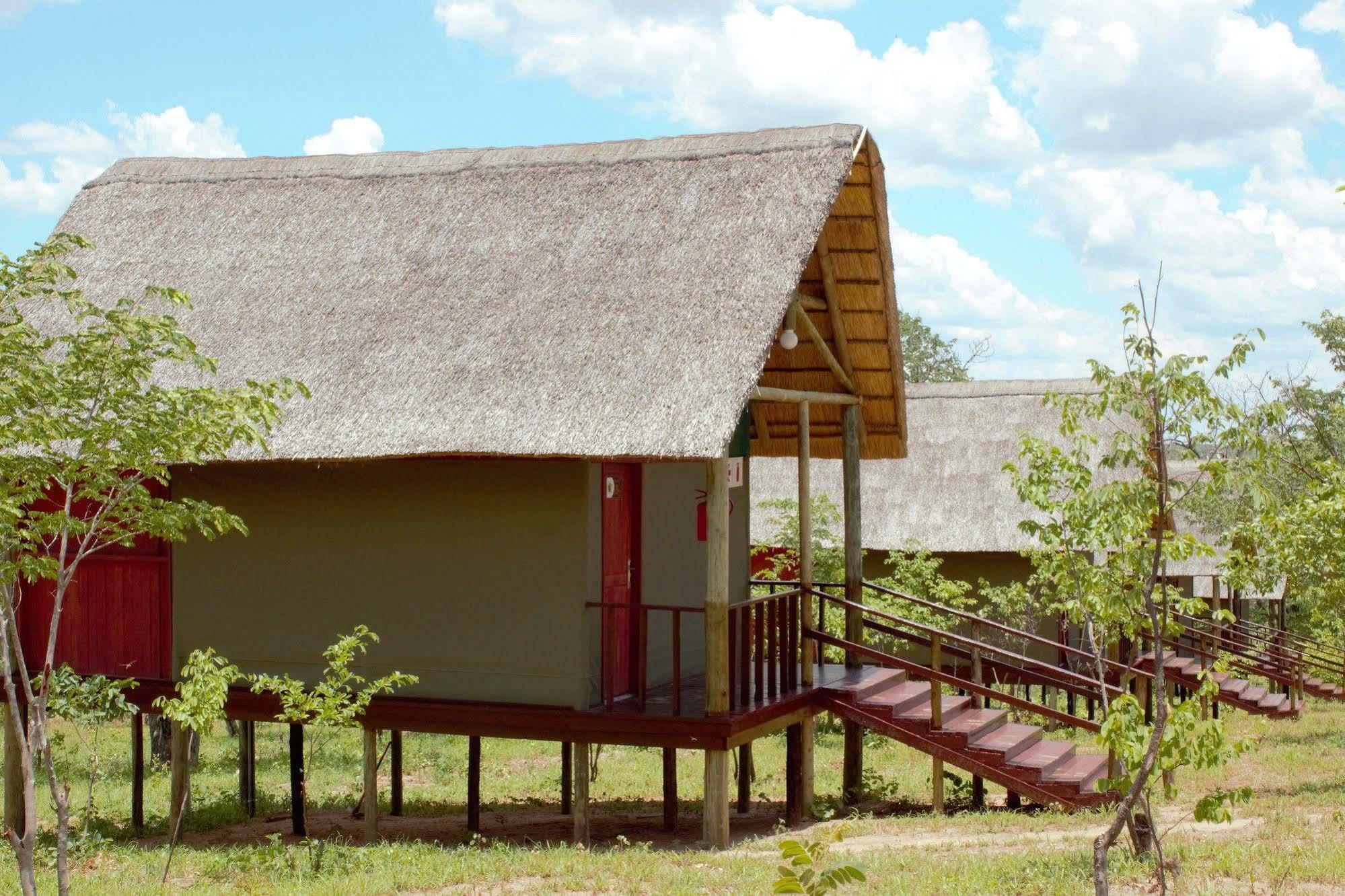Lion Roars Lodge Lesoma Kültér fotó